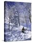 Side Profile of a Man Skiing-null-Stretched Canvas