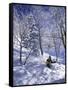 Side Profile of a Man Skiing-null-Framed Stretched Canvas