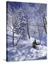 Side Profile of a Man Skiing-null-Stretched Canvas