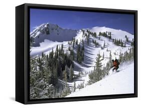 Side Profile of a Man Skiing-null-Framed Stretched Canvas