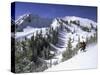 Side Profile of a Man Skiing-null-Stretched Canvas