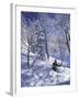 Side Profile of a Man Skiing-null-Framed Photographic Print