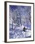 Side Profile of a Man Skiing-null-Framed Photographic Print