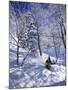 Side Profile of a Man Skiing-null-Mounted Photographic Print