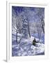 Side Profile of a Man Skiing-null-Framed Photographic Print