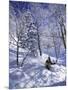 Side Profile of a Man Skiing-null-Mounted Photographic Print