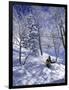 Side Profile of a Man Skiing-null-Framed Photographic Print