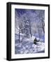 Side Profile of a Man Skiing-null-Framed Photographic Print