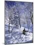 Side Profile of a Man Skiing-null-Mounted Photographic Print