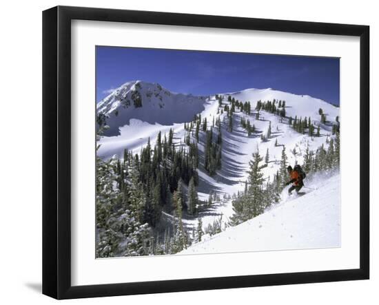 Premium Photographic Print, , large