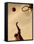 Side Profile of a Mid Adult Man Playing Basketball-null-Framed Stretched Canvas