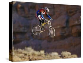 Side Profile of a Person on a Bicycle in Mid Air-null-Stretched Canvas