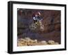 Side Profile of a Person on a Bicycle in Mid Air-null-Framed Photographic Print