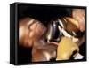 Side Profile of Two Male Boxers Fighting-null-Framed Stretched Canvas