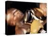 Side Profile of Two Male Boxers Fighting-null-Stretched Canvas