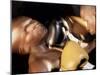 Side Profile of Two Male Boxers Fighting-null-Mounted Photographic Print