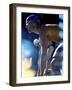 Side Profile of Two Swimmers in the Starting Position-null-Framed Photographic Print