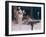 Side Table-Carl Albrecht-Framed Giclee Print