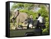 Side View of a Group of Tourists on Safari Watching Elephant-Nosnibor137-Framed Stretched Canvas