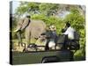 Side View of a Group of Tourists on Safari Watching Elephant-Nosnibor137-Stretched Canvas