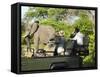 Side View of a Group of Tourists on Safari Watching Elephant-Nosnibor137-Framed Stretched Canvas