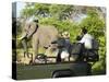 Side View of a Group of Tourists on Safari Watching Elephant-Nosnibor137-Stretched Canvas