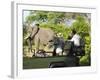 Side View of a Group of Tourists on Safari Watching Elephant-Nosnibor137-Framed Photographic Print