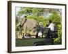 Side View of a Group of Tourists on Safari Watching Elephant-Nosnibor137-Framed Photographic Print