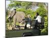 Side View of a Group of Tourists on Safari Watching Elephant-Nosnibor137-Mounted Photographic Print