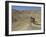 Side View of Competitior in the Mount Sodom International Mountain Bike Race, Dead Sea Area, Israel-Eitan Simanor-Framed Photographic Print