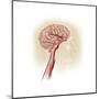 Side View of Human Brain Showing Internal Carotid Artery-null-Mounted Art Print