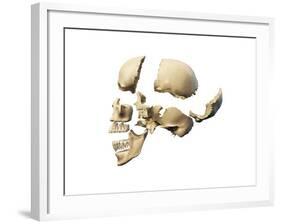 Side View of Human Skull with Parts Exploded-null-Framed Art Print