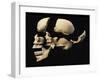 Side View of Human Skull with Parts Exploded-null-Framed Art Print
