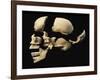 Side View of Human Skull with Parts Exploded-null-Framed Art Print