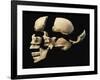 Side View of Human Skull with Parts Exploded-null-Framed Art Print