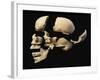 Side View of Human Skull with Parts Exploded-null-Framed Art Print