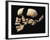 Side View of Human Skull with Parts Exploded-null-Framed Art Print