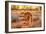 Side view of red kangaroo (Macropus rufus) with joey in its pouch,  Australia-Alberto Mazza-Framed Photographic Print