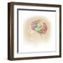 Side View of the Human Head Showing the Functional Lobes of the Brain-null-Framed Art Print