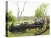 Side View of Tourists in Jeep Looking at Cheetah Lying on Log-Nosnibor137-Stretched Canvas