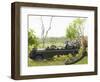 Side View of Tourists in Jeep Looking at Cheetah Lying on Log-Nosnibor137-Framed Photographic Print