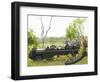 Side View of Tourists in Jeep Looking at Cheetah Lying on Log-Nosnibor137-Framed Photographic Print