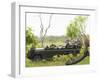 Side View of Tourists in Jeep Looking at Cheetah Lying on Log-Nosnibor137-Framed Photographic Print