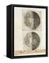 Sidereus Nuncius (Starry Messenger) with Drawings of the Phases and Surface of the Moon-Galileo Galilei-Framed Stretched Canvas