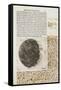 Sidereus Nuncius (Starry Messenger) with Drawings of the Phases and Surface of the Moon-Galileo Galilei-Framed Stretched Canvas