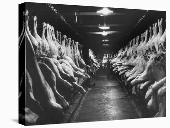 Sides of Beef at Les Halles Market-null-Stretched Canvas