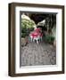 Sidewalk Cafe in Acapulco, Mexico-Terry Eggers-Framed Photographic Print