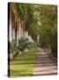 Sidewalk Lined with Palm Trees, Miami, Florida, USA-Adam Jones-Stretched Canvas