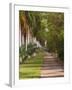 Sidewalk Lined with Palm Trees, Miami, Florida, USA-Adam Jones-Framed Photographic Print