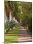 Sidewalk Lined with Palm Trees, Miami, Florida, USA-Adam Jones-Mounted Photographic Print